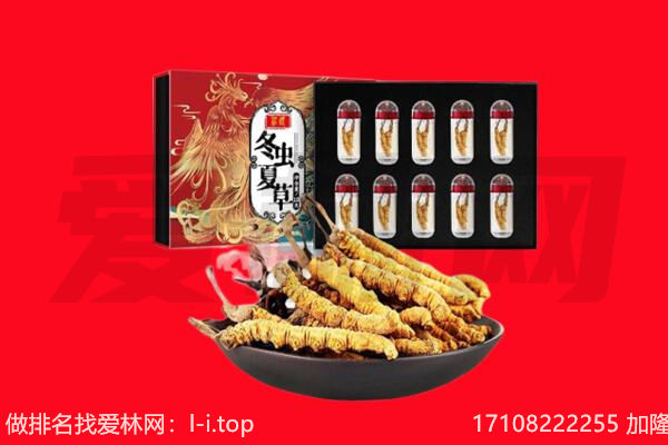 延安市回收虫草.jpg